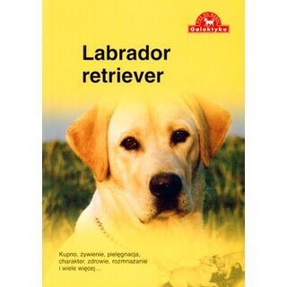 Pies Na Medal Labrador Retriever