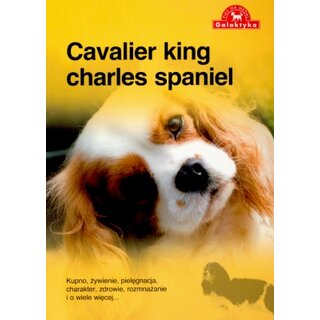 Pies Na Medal Cavalier King Charles Spaniel